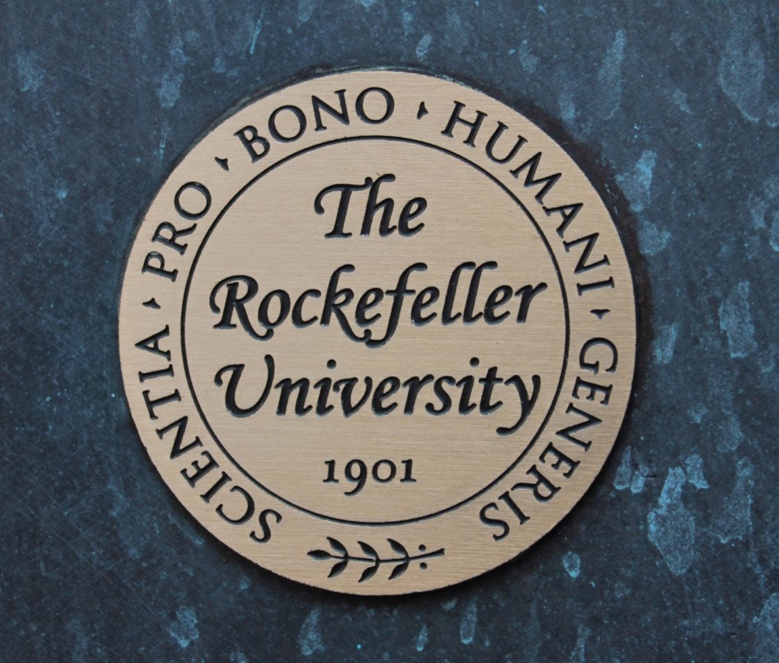 Rockefeller%20Unievrsity%2C%20New%20York%20-%2004.JPG